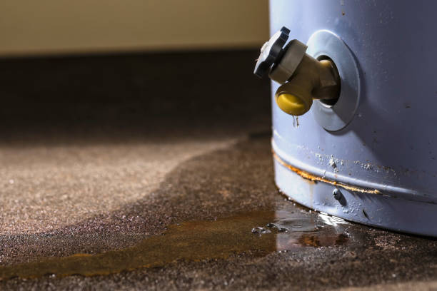  Perth Amboy, NJ Water damage restoration Pros