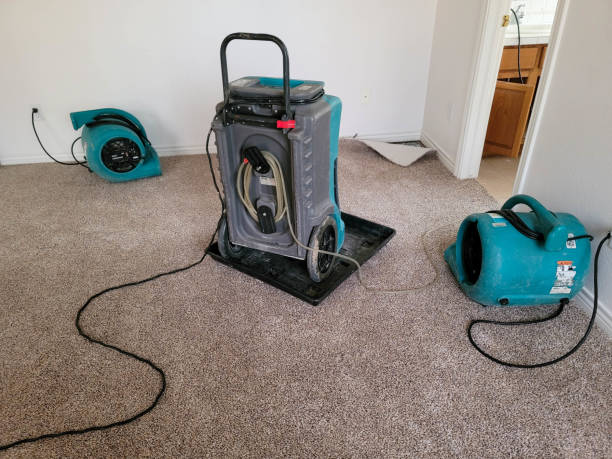 Best Basement water damage restoration  in Perth Amboy, NJ