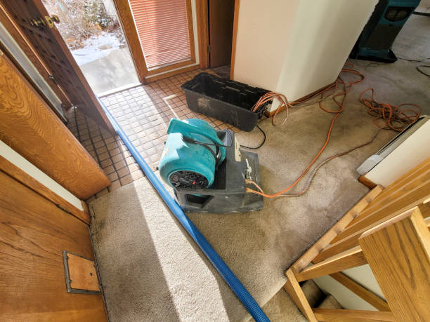 Best Water damage cleanup near me  in Perth Amboy, NJ