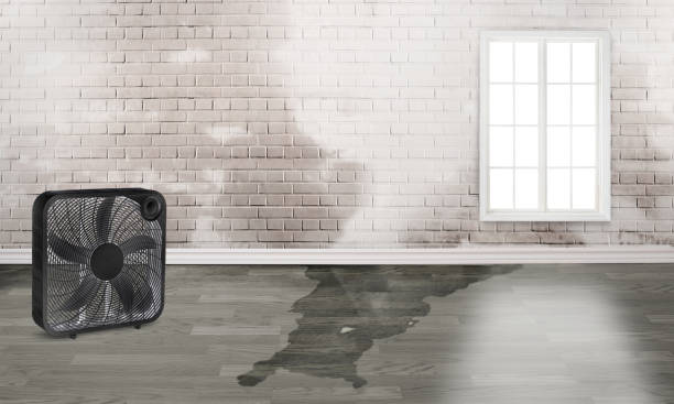 Best Commercial water damage restoration  in Perth Amboy, NJ
