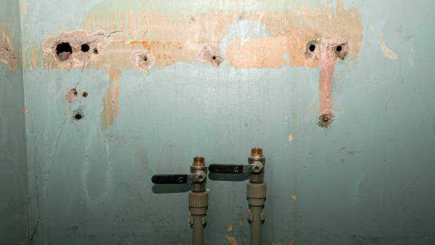 Best Residential water damage restoration  in Perth Amboy, NJ