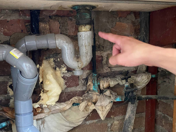 Best Water damage contractors near me  in Perth Amboy, NJ